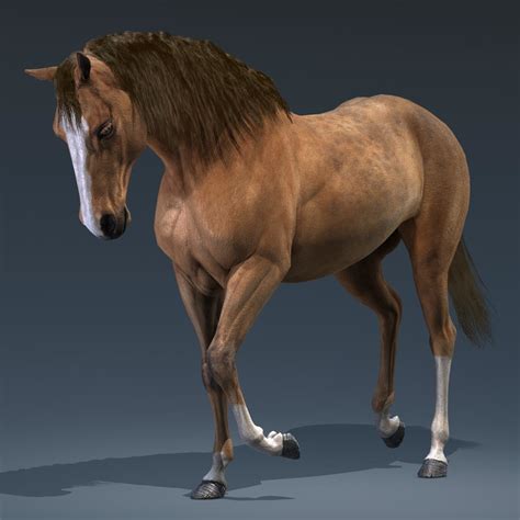 horse 3d xxx